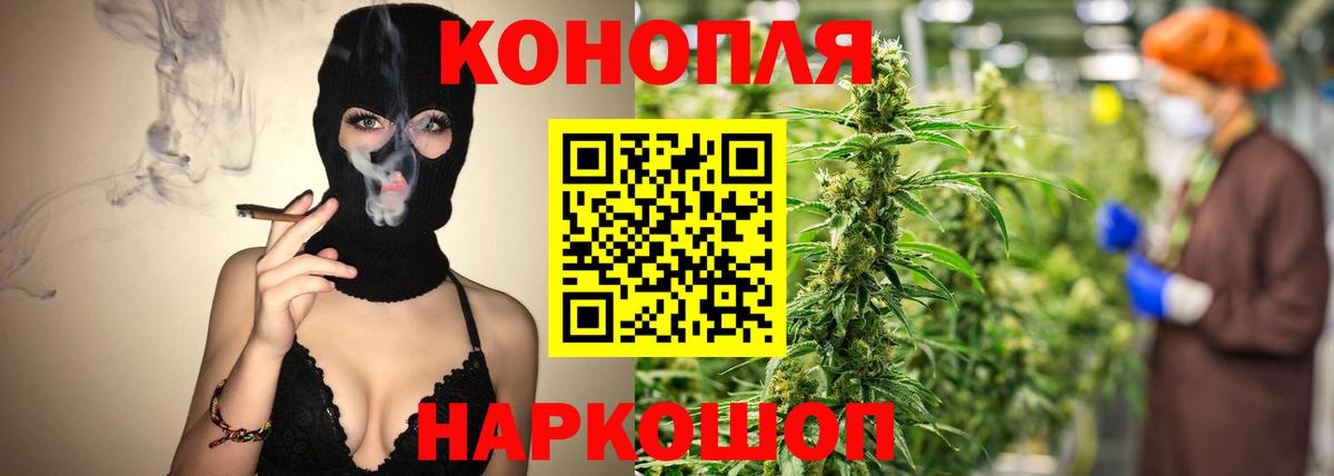 Бошки Шишки марихуана Киреевск